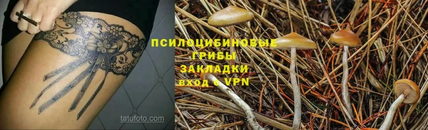 гидра Абдулино