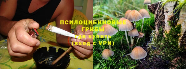 jwh Абаза